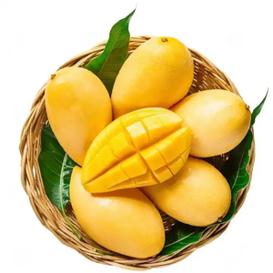 Mangues jaunes fraîches biologiques de haute qualité 20 cm 25 kg 99,99 % matures, directement de Maryland, États-Unis - Product Image 6