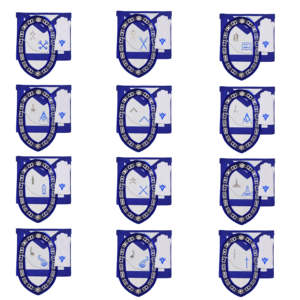 Ensemble d'aprons d'officier de Loge Maçonnique NESTA SPORTS Bleu, style vintage en cuir brodé 12x4, collier à 12 maillons, 12 bijoux, 12 gants - Product Image 1