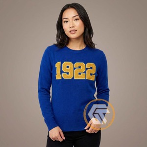 T-shirt décontracté pour femme en coton molletonné brodé de haute qualité, personnalisé, motif Trésors Grecs Sigma Gamma Rho, 500g, écologique et à séchage rapide - Product Image 4