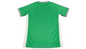 T-shirt homme Fruit of the Loom Ringer bicolore, col rond en coton uni contrastant - Product Image 4