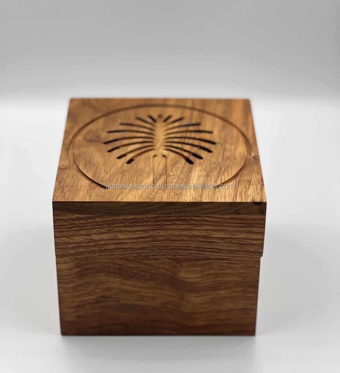 สีน้ำตาล