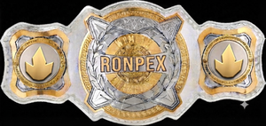 High Quality RONPEX Custom Championship Belt Brass & Leather Waterproof Unisex Martial Arts Training Equipment <b>28mm</b> Diameter - Product Image 3