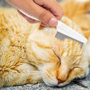 Peigne double face rose pour animaux de compagnie, à dents fines et grossières, réutilisable, pour le nettoyage et le coiffage du pelage des chiens et des chats - Product Image 5