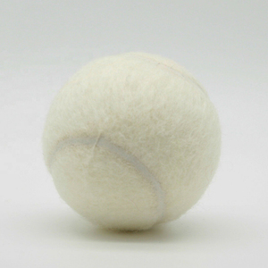 Pelotas de Práctica de Tenis de Alta Calidad, Diseño de Cricket, Ideales para Deportes de Playa y Práctica de Tenis - Product Image 2