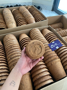 Maceta Biodegradable de Fibra de Coco Natural al por Mayor de Blue Lotus Vietnam 2026 - Product Image 5