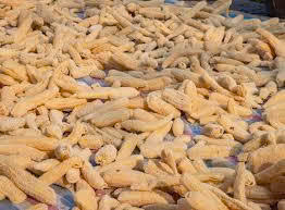 OEM <b>Loofah</b> Bath Brush Manufacturer Wholesale Natural Luffa Body Scrubber| Exfoliating Glove | Shower Sponge - Product Image 5