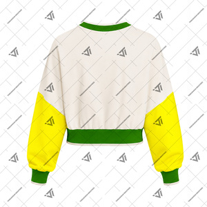 Wholesale Greek <b>Chi</b> Eta Phi Sorority Clothing Women’s Embroidered 1932 Colorblock Crop Sweatshirt Top - Product Image 2