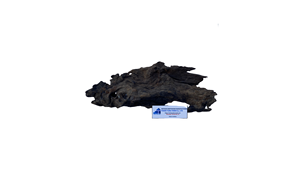 Article populaire : Décoration d'aquarium en bois flotté naturel, forme irrégulière, écologique, ornement pour aquarium fabriqué au Vietnam - Product Image 6