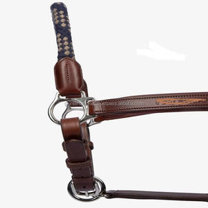 Vente en gros de produits de qualité supérieure, licou à dos rembourré en cuir véritable équestre avec matériel et accessoires en laiton argenté mat - Product Image 1