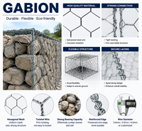 Caja de Gabiones Resistente, Fabricante de Cestas de Gabiones, Jaula de Malla Metálica para Ingeniería Civil