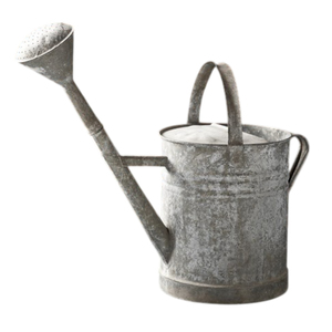 Arrosoir vintage en acier galvanisé avec tête de pulvérisation amovible, double poignée, arrosoir de jardin en métal pour plantes d'intérieur et d'extérieur - Product Image 1