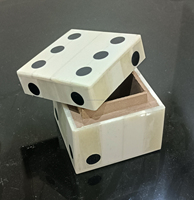Ensemble de dés carrés modernes faits à la main et écologiques en os et résine pour jeux de pelouse, camping, activités de jardin et décoration de jardin