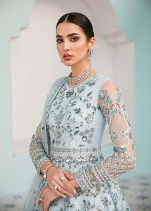 Vestidos Pakistaníes Hechos a Mano, Vestidos Pakistaníes/Indios de Moda para Bodas con Adornos Tradicionales, Vestidos de Noche - Product Image 4