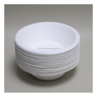 Bol en bagasse jetable Xportio International - Dégradable, compatible micro-ondes, écologique pour les fêtes, la maison et l'extérieur