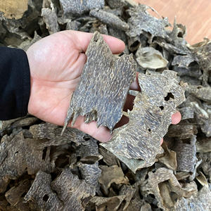 Chips de Agarwood Natural al por Mayor de Vietnam, Incienso de Agarwood en Grandes Cantidades, Fragancia Oud, 100% Natural - Product Image 5