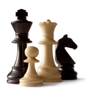 Pièces d'échecs en bois lestées de qualité supérieure, fabriquées à la main, ensemble Staunton, roi de 95 mm, cavalier en bois, pièces d'échecs de tournoi, vente en gros - Product Image 6