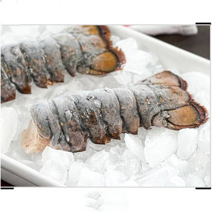 Mariscos: Langosta fresca y congelada, LANGOSTA VIVA Y FRESCA - Product Image 3