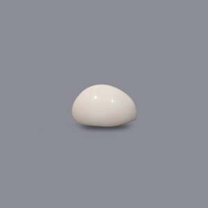 Natural White Coral Oval Cabochon Loose Gemstone 10 Carat Certified Wholesale - Product Image 3