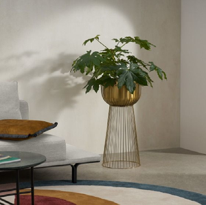 Macetas premium en tono bronce y negro con elegantes patas de metal, disponibles a precios de mayorista para un estilo industrial chic. - Product Image 2