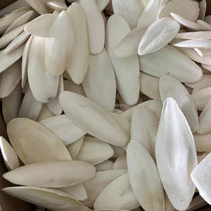 GIA NGUYEN Os de seiche propre, nourriture pour perroquets, fournitures pour oiseaux de qualité supérieure, origine Vietnam - Product Image 5