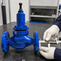 Válvula de Alivio de Accionamiento Automático de Paso Directo OEM al por Mayor, Conexión Bridada DN25, Control de Presión Hidráulica para Agua Industrial