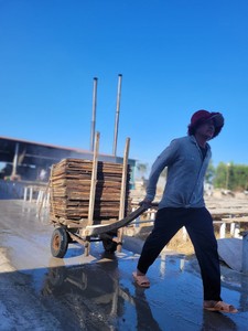 EN TENDENCIA AHORA: Anchoas Secas de Origen Ecológico, Conservadas con Sal, Esenciales para la Cocina Costera, Suministro Confiable para el Año 2026 - Product Image 3