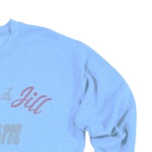 Sweat-shirt bleu à col rond pour femme, pull décontracté à manches longues, style streetwear, vêtements confortables pour tous les jours - Product Image 5