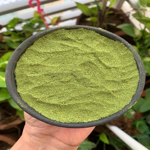 Poudre de feuilles de Moringa en gros pour le soutien naturel de l'immunité et de la digestion, extrait de feuilles de Moringa 10:1 - Product Image 1