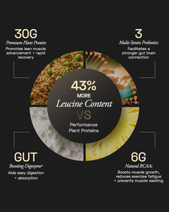 Batido Nutritivo a Base de Plantas, Alto en Proteínas, Sabor Mocha, Vegano, Bajo en Grasas, Sin Gluten - Product Image 3