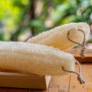 Esponja Natural de Luffa para Lavar Platos, Bañarse y Limpieza del Hogar, Origen Vietnam - Liam - Product Image 4