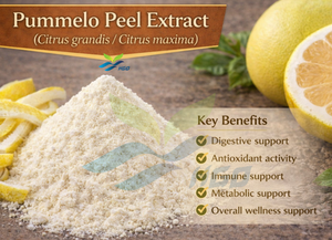 Extrait de peau de pomelo pur naturel de qualité alimentaire, fourni directement par l'usine HGO, spécifications 5:1, 10:1, 20:1 - Product Image 3