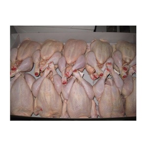 ไก่แช่แข็งฮาลาลเกรดพรีเมียมทั้งตัวและเนื้ออกไก่สดเกรดพรีเมียมสำหรับส่งออก - Product Image 4