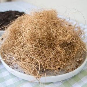 Fibra de Coco Natural Premium para Relleno de Colchones y Fabricación de Cojines - Product Image 1