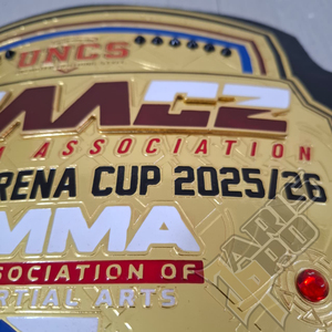 เข็มขัดแชมป์เทควันโด ยิวยิตสู ยูโด MMA มวยปล้ำ สำหรับการแข่งขัน แบบกำหนดเองได้ สำหรับทุกเพศ ผู้ผลิตขายส่ง OEM - Product Image 3