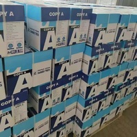 Papier de Copie A4 80g/m² Blanc pour Imprimante et Brouillons – Offre Spéciale