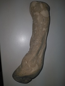 En gros 100% NATUREL Café Bois Jouet À Mâcher Pour Chiot//Ambre + 84383004939 - Product Image 5