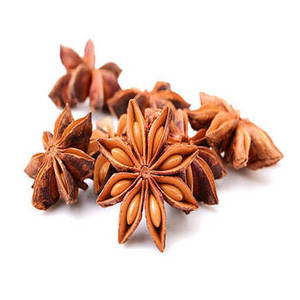 Anís estrellado indio en vainas aromáticas naturales para proveedores comerciales de especias, importadores internacionales y distribuidores mayoristas de alimentos - Product Image 4