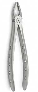 Forceps d'extraction dentaire en acier inoxydable chirurgical pour incisives inférieures, canines et premiers molaires à surface mate, instrument d'extraction radiculaire - Product Image 2