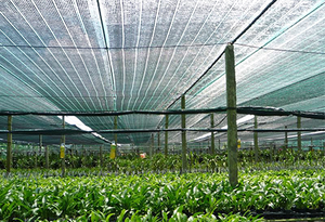 Filet d'ombrage Mono+Mono 50% 125gsm en PE pour l'agriculture, les serres et les nichoirs, avec stabilisation UV - Product Image 1