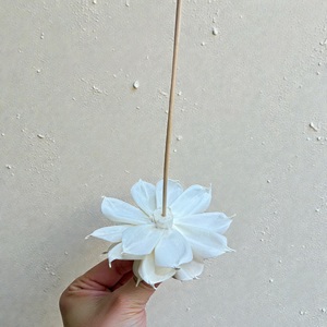 ดอกไม้โซล่าวู้ด VADEE SOLA WOOD FLOWER ทำมือ ดอกไม้โซล่าวู้ดสีงาช้าง ขนาด 8.5 ซม. ทำจากเส้นใยพืชเซสบานียา จากประเทศไทย - Product Image 5