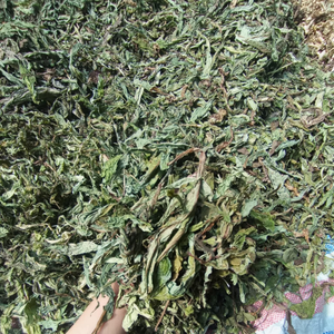 ใบแดนดิไลออนแห้ง | สมุนไพรธรรมชาติดีท็อกซ์ส่วนผสม - Product Image 5