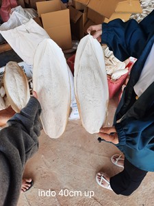 VENTE FLASH : Os de Seiche Séché Pur pour Reptiles et Croissance de la Carapace des Tortues Source Marine Riche en Calcium - Product Image 2