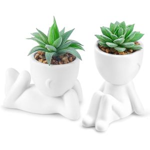 Set di 2 Piante Succulente Artificiali per Decorazione Estetica Interna, per Ufficio, Bagno o Casa, come Accessori da Scrivania - Product Image 1