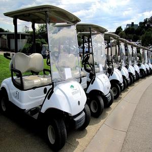 Carrito de Golf Eléctrico Premium de 4 Ruedas, Potente, con Batería de Litio de 60V/18.2AH, para 7-8 Pasajeros, de Acero - Product Image 5