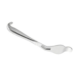 Lame à os courbée, instrument chirurgical, 240 mm, pointe arrondie, largeur de mâchoire 44 mm, acier inoxydable, outil de chirurgie orthopédique - Product Image 2