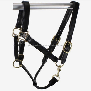 Licol de cheval en cuir solide et souple Boucles solides en laiton massif avec coins arrondis Rembourrage doux au nez et à la muserolle - Product Image 6