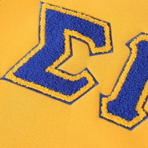 เสื้อสเวตเชิ้ตคอกลม Sigma Gamma Rho ปักลายตัวอักษรกรีกแบบกำหนดเอง ผ้าขนแกะเนื้อนุ่ม สวมใส่สบาย เหมาะสำหรับชุดลำลองของชมรม - Product Image 6