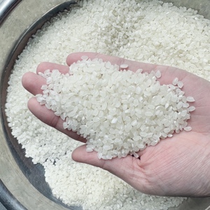 Exportateur de confiance de riz japonais JAPONICA SUSHI, grain doux et agréable, 5KG 10KG 25KG 50KG PEPA PP BOPP pour la vente en gros (Joice) - Product Image 2