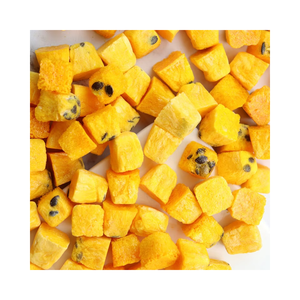 Bloques de Maracuyá Orgánico Liofilizado FD, Sabor Agridulce, Empaque a Granel, Forma Cuadrada, Grado Alimenticio, 100% Fruta, Bolsa, OEM Vietnam - Product Image 2