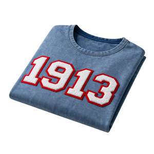 Camicia Premium in Denim Chenille Delta Sigma Theta 1913 per Donne, Vestibilità Comoda, Alta Qualità, Abbigliamento Casual per Confraternite Greche - Product Image 6
